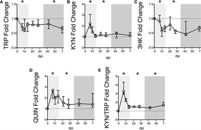 Distinct Patterns of Tryptophan Maintenance in Tissues during Kynurenine Pathway Activation in Simian Immunodeficiency Virus-Infected Macaques